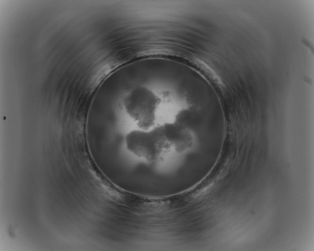X0000091500937200708231441