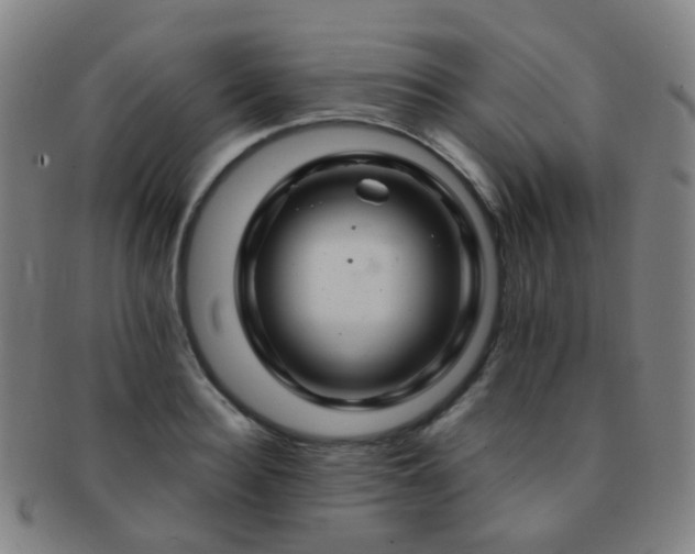 X0000091500940200708231441