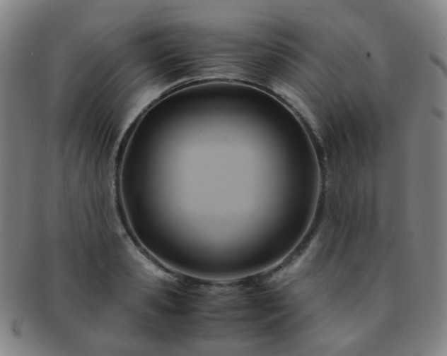 X0000091500941200708231441