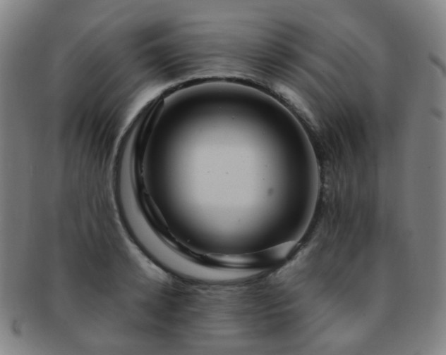 X0000091500942200708231441