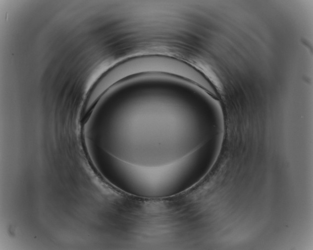 X0000091500944200708231441