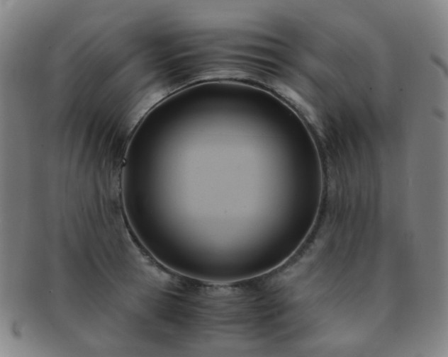 X0000091500945200708231441