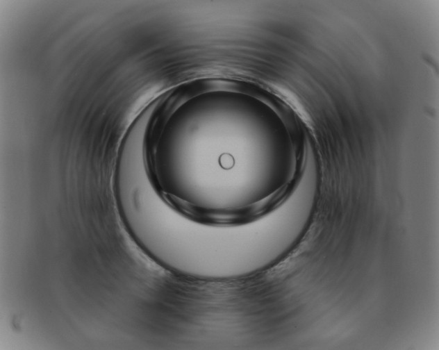 X0000091500946200708231441