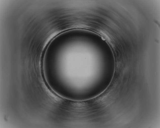 X0000091500947200708231441