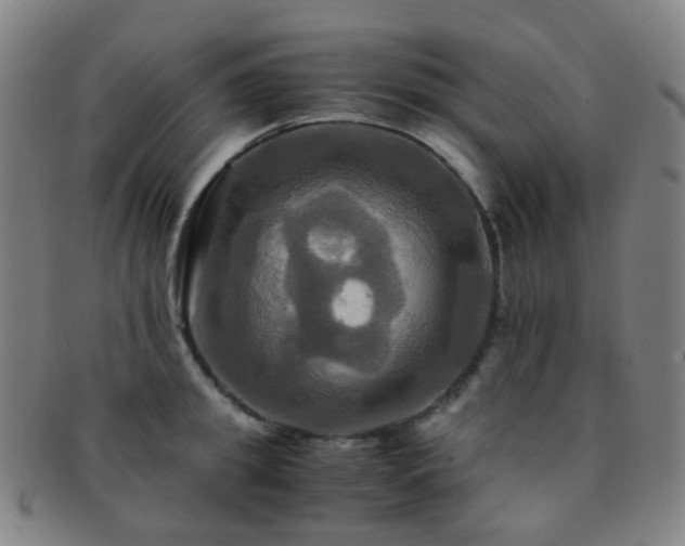 X0000091500949200708231441