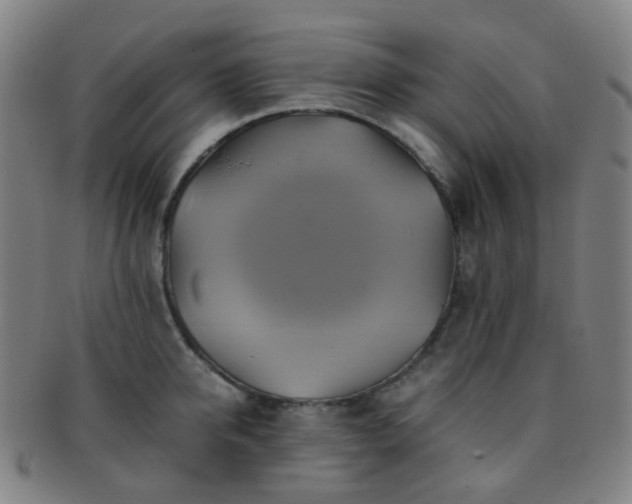 X0000091500950200708231441