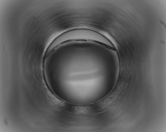 X0000091500951200708231441