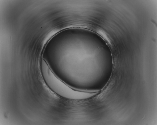 X0000091500952200708231441