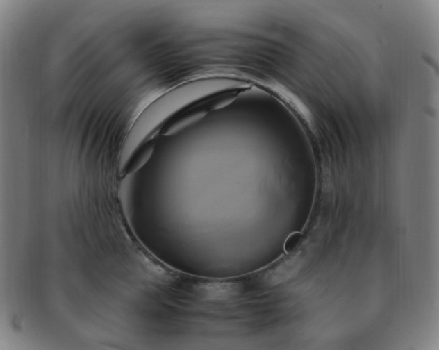 X0000091500953200708231441