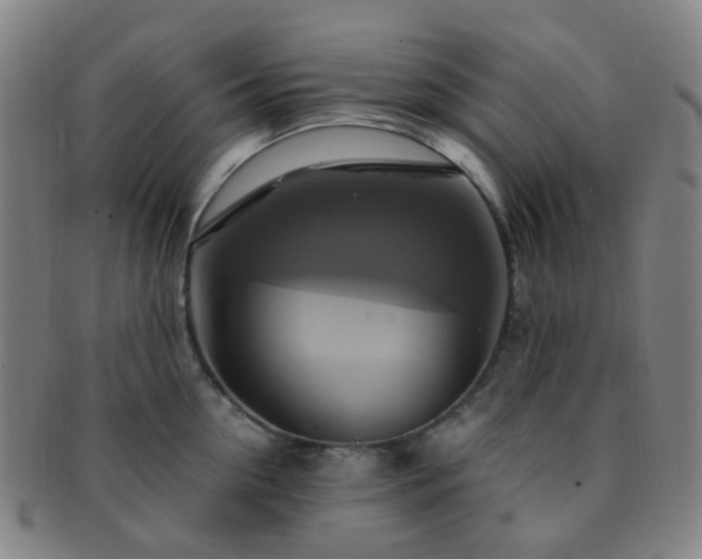 X0000091500954200708231441