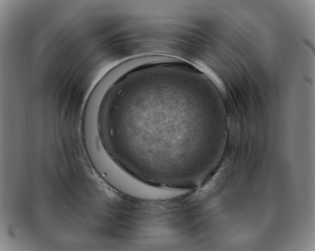 X0000091500956200708231441