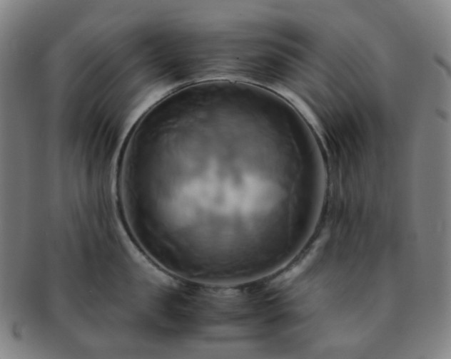 X0000091500957200708231441