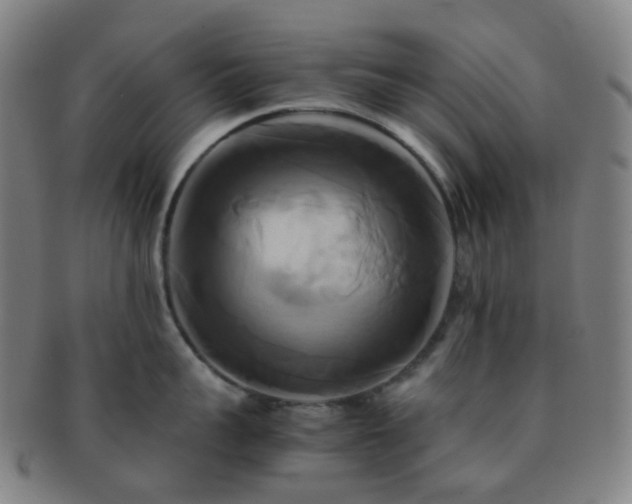 X0000091500959200708231441