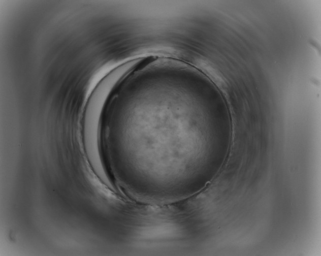 X0000091500960200708231441