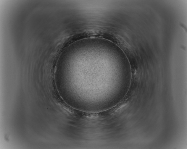 X0000091500961200708231441