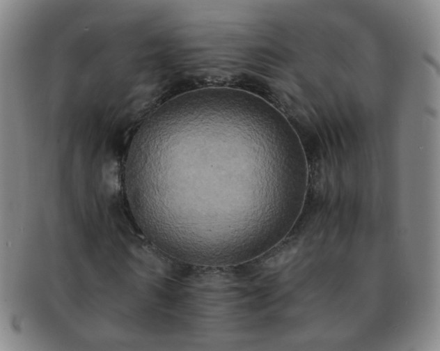 X0000091500962200708231441