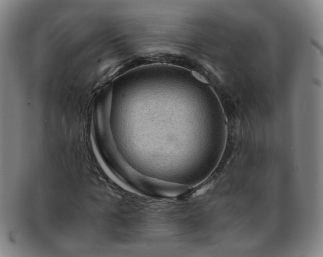 X0000091500965200708231441