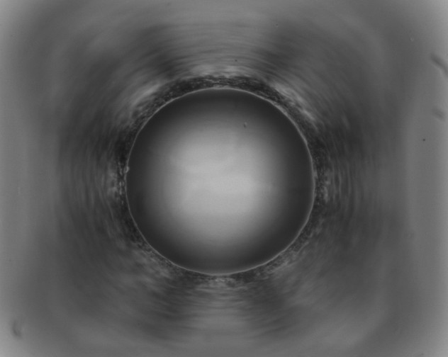 X0000091500966200708231441