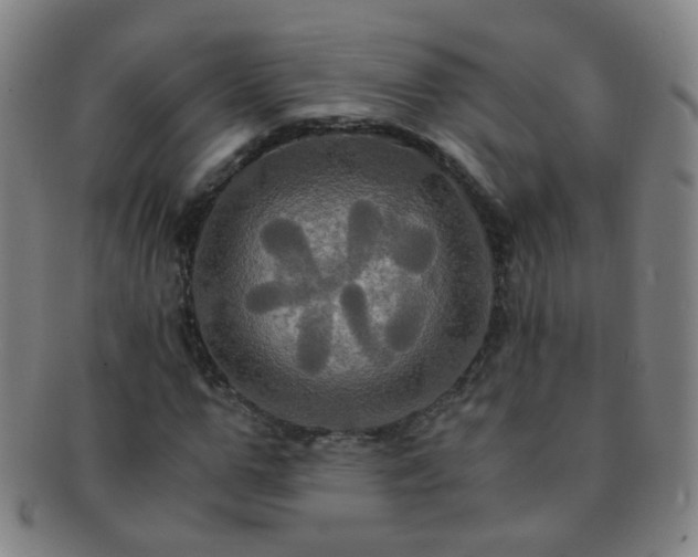 X0000091500967200708231441