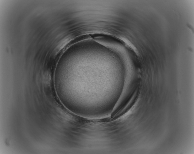X0000091500969200708231441