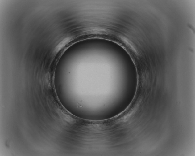 X0000091500970200708231441
