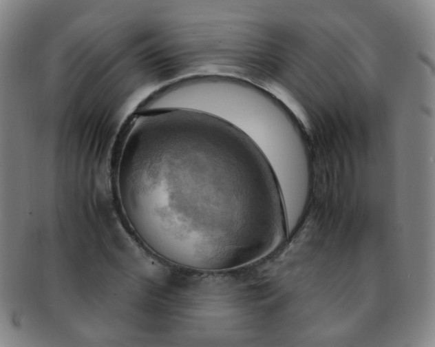 X0000091500972200708231441