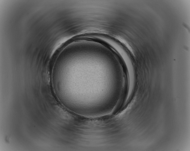 X0000091500973200708231441