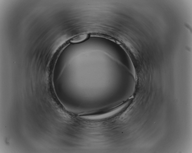 X0000091500975200708231441