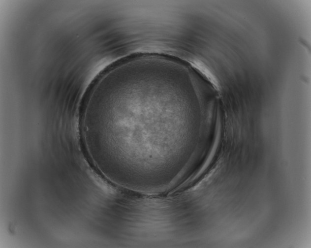 X0000091500976200708231441