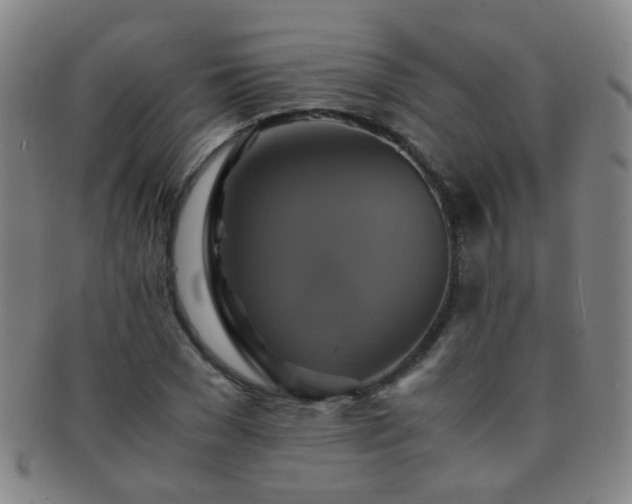 X0000091500977200708231441