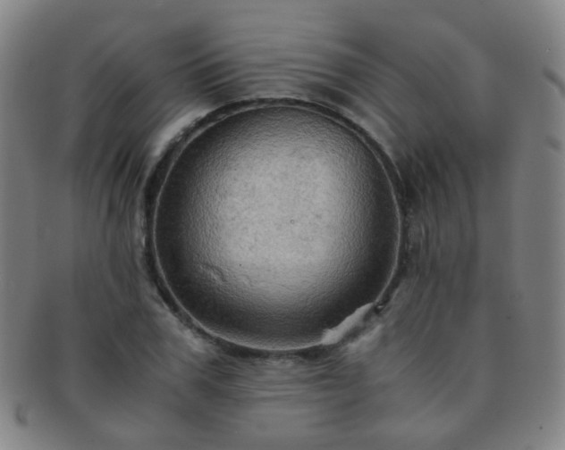 X0000091500979200708231441