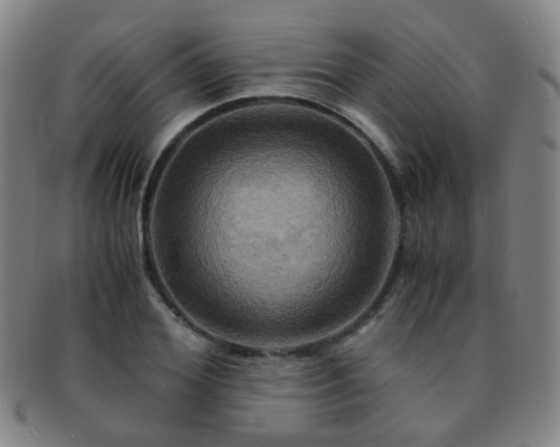 X0000091500980200708231441