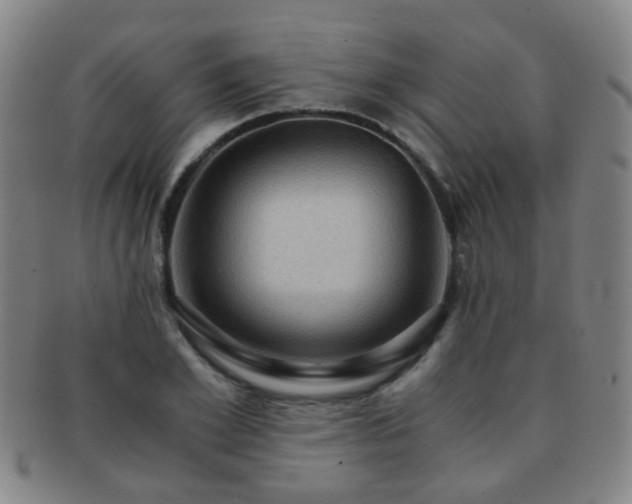 X0000091500981200708231440