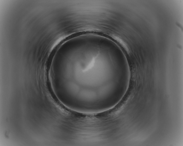 X0000091500983200708231440