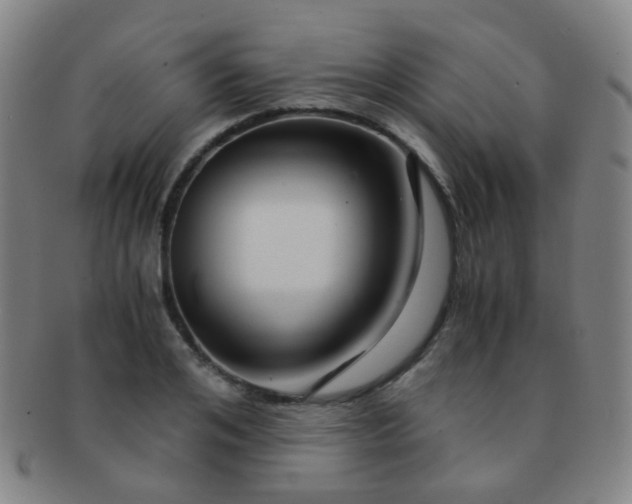 X0000091500984200708231440