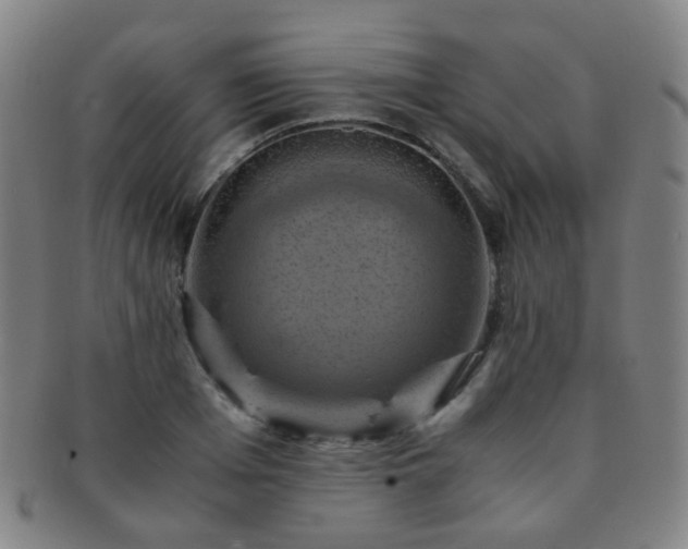 X0000091500985200708231440
