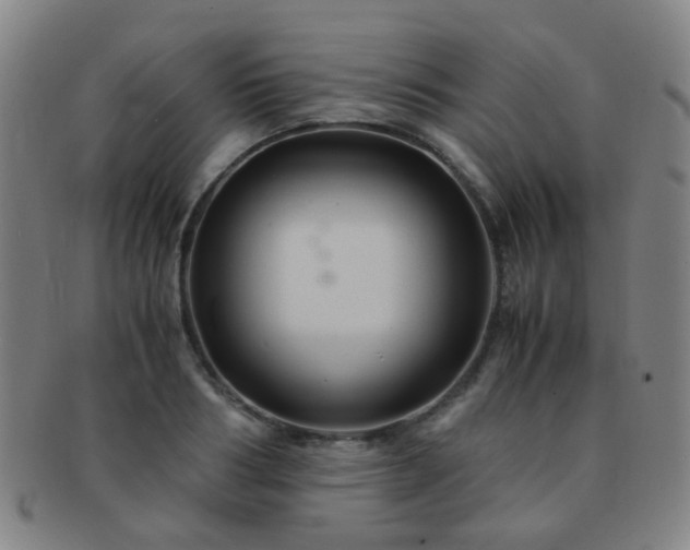 X0000091500986200708231440
