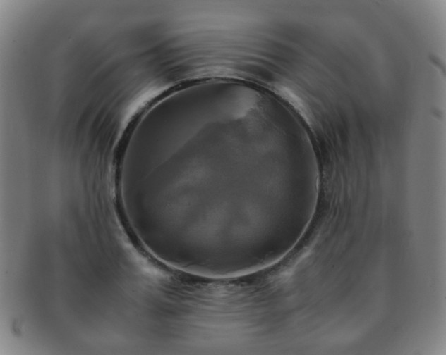 X0000091500987200708231440