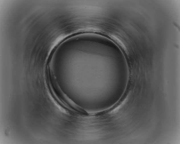 X0000091500989200708231440