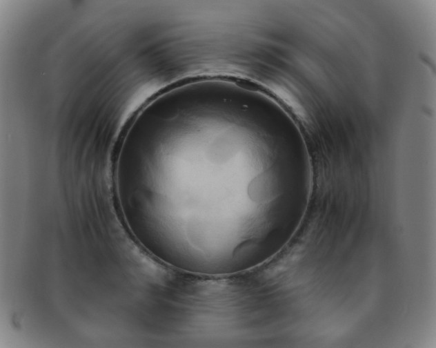 X0000091500990200708231440
