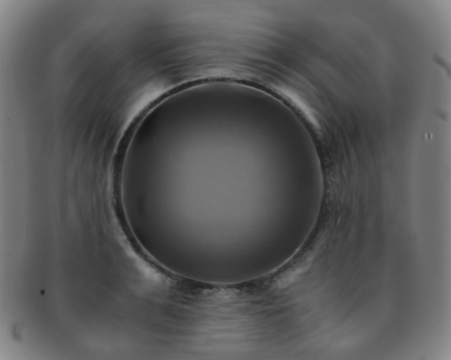X0000091500991200708231440