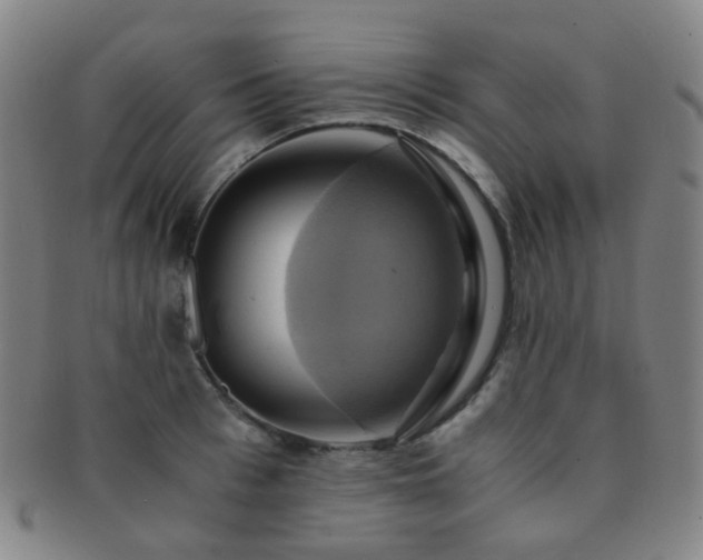 X0000091500993200708231440