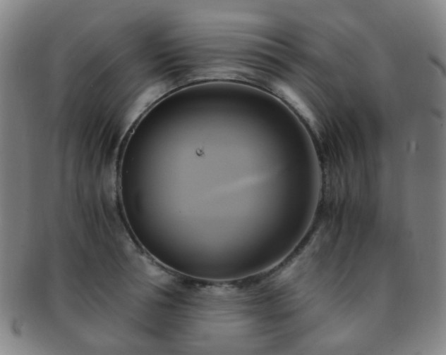 X0000091500994200708231440