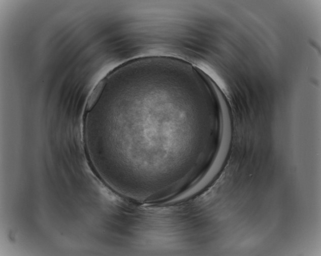 X0000091500996200708231440