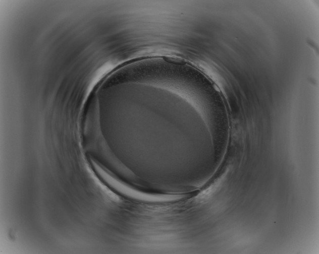 X0000091500997200708231440