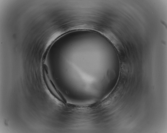 X0000091500998200708231440