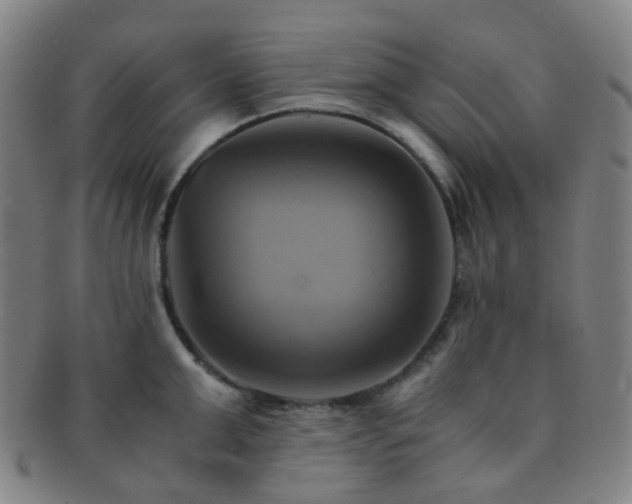 X0000091500999200708231440