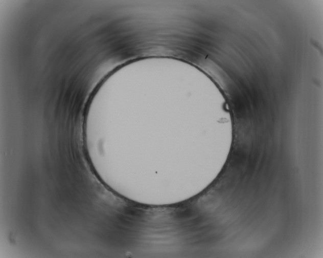 X0000091501000200708231440