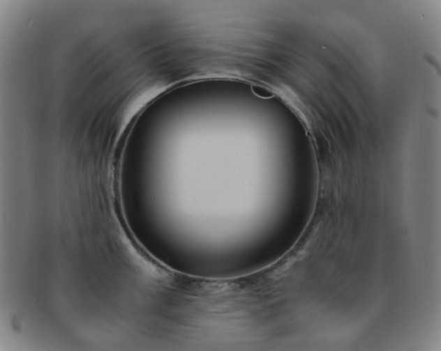 X0000091501003200708231440