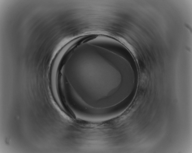 X0000091501005200708231440
